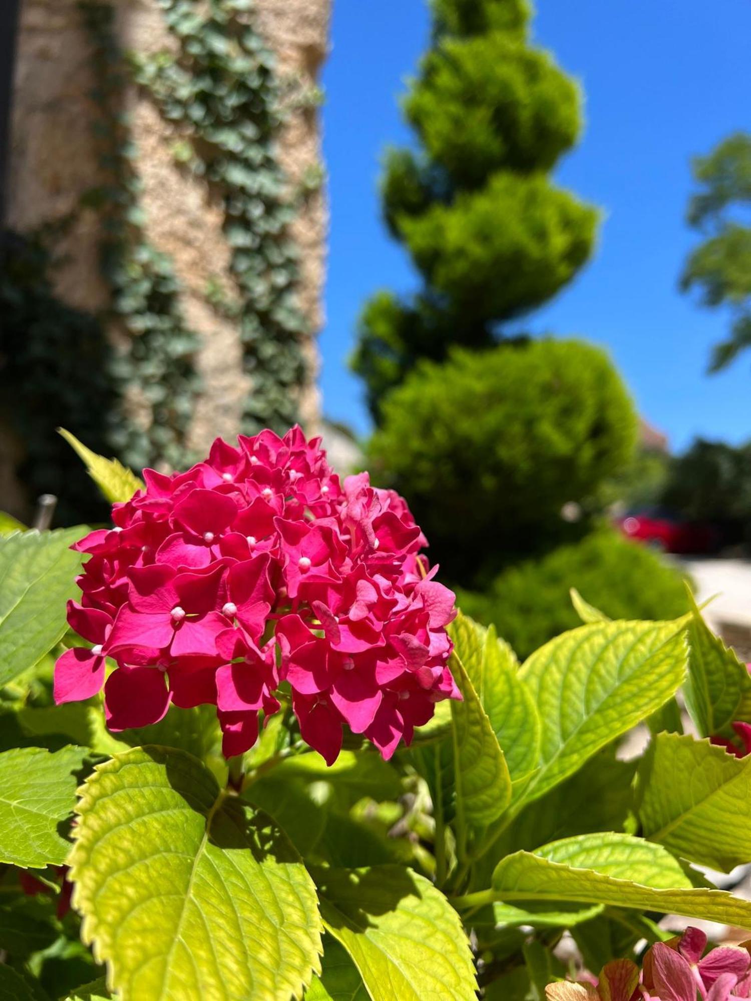 Les Vieilles Tours Hotel Rocamadour